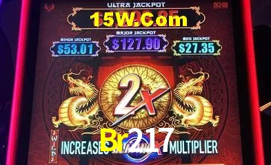 Br217 - Customer Support